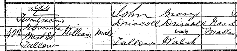 Snip of William Driscoll's birth registration